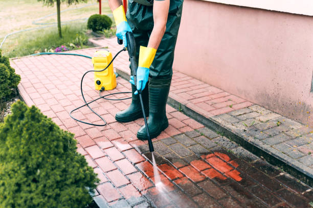 Best Fence Cleaning  in Sycamore, IL