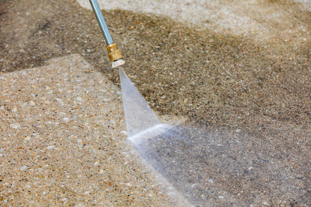 Animal Enclosure Cleaning in Sycamore, IL
